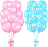 Lecpeting 20 Pcs Gender Reveal Balloons Boy or Girl, 12 Inches Latex Party Balloons for Baby Shower Decorations