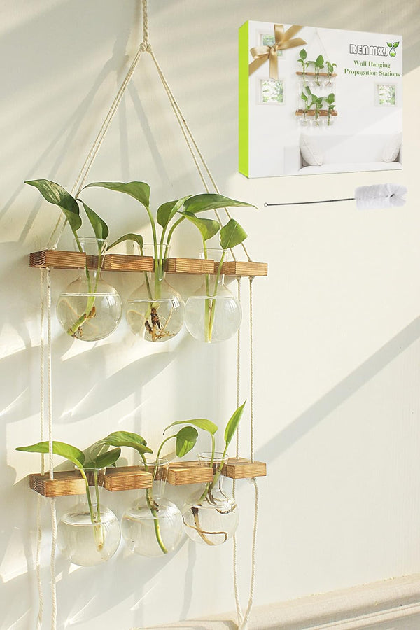 Renmxj Plant Propagation Station Wall Hanging, Plant Terrarium with 2 Tiered Wooden