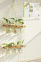 Renmxj Plant Propagation Station Wall Hanging, Plant Terrarium with 2 Tiered Wooden