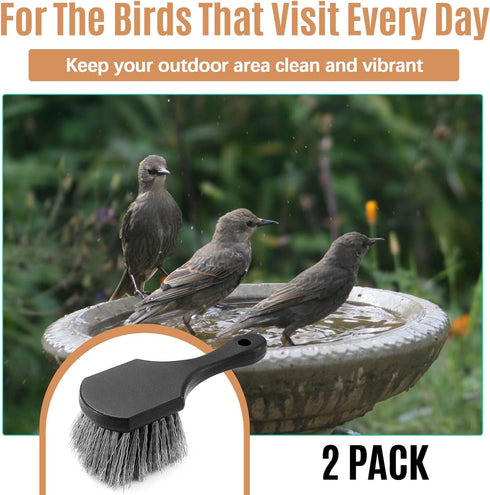 2 CroBlissful Pcs Bird Bath Cleaning Brush Hard Bristle Stiff Bristle Brush with Plastic Handle Utility Scrub for Bird