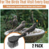 2 CroBlissful Pcs Bird Bath Cleaning Brush Hard Bristle Stiff Bristle Brush with Plastic Handle Utility Scrub for Bird
