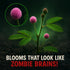Zombie Plant Seed Packets (2) – Grow Your Own Live Zombie Plant for Fun & Educational STEM Activity
