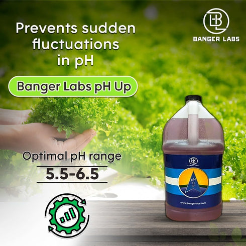 (1 Premium pH Up Solution - Corrects pH Imbalances, Maximizes Nutrient Absorption, Prevents Sickly Plants | Plant pH