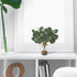 2 Pack 11" Artificial Eucalyptus Stems in Glass Vases, Fake Plants with Faux Water Stones, Small Faux Plants