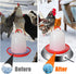 15" 5 Large Chicken Water Heater Base, Metal Heated Chicken Waterer Gallon, Freeze Proof Chickens Coop Winter Deicer
