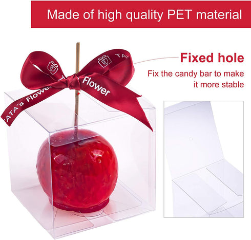 Clear Candy Apple Boxes with Hole, 4"x 4"x 4", Set of 20 Food-Grade Treat Boxes for Caramel Apples