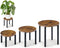 Amaoot 3-Pack Plant Stands Indoor, Plant Flower Display Shelf, Heavy Duty Flower