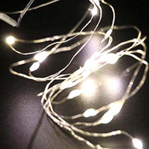 Fidt 9ft 30 LED USB String Lights - Silver Wire Fairy Lights for Wedding, Party, Christmas & Festival Decorations