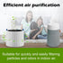 2 Pack Mini Max Filter Replacement for Blueair Blue Pure Mini Max Air Purifier, H13 True HEPA & Activated Carbon Filter