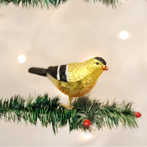 Old World Christmas Ornaments: American Goldfinch Glass Blown Bird Watcher Collection for Christmas Tree