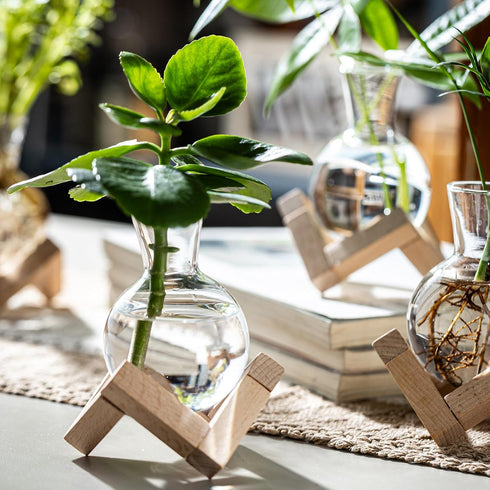 Bulb (2) Propagation Stations, Propagation vases with Wooden Stand, Small Tabletop Glass Vases for Hydroponics Plant