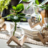 Bulb (2) Propagation Stations, Propagation vases with Wooden Stand, Small Tabletop Glass Vases for Hydroponics Plant