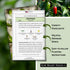 Packet (3) Sow Right Seeds - Jalapeno Pepper Seed for Planting - Non-GMO Heirloom with Instructions to Plant an Outdoor