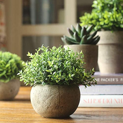 Velener Mini Sage Green Potted Boxwood Topiary, Artificial Plants for Home Decor, Indoor, Small Fake Plant