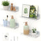 LAZYROSY 4 Pack Floating Shelves Clear Acrylic/PET Wall-Mounted No Drill Storage with