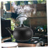 Cast Iron Tea Kettle with Metal Coffee Filter, Heating Teakettle for Gas Stove, Stainless Steel Field, Make Tea