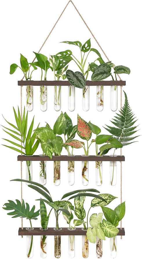 Mkono Plant Propagation Tubes, 3 Tiered Wall Hanging Terrarium with Wooden Stand