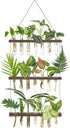 Mkono Plant Propagation Tubes, 3 Tiered Wall Hanging Terrarium with Wooden Stand