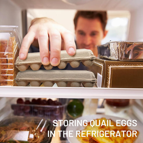 HavRixor 30 Pack- Dozen 24 Counts Quail Egg Cartons Holds Up to Two Eggs Bulk Blank Container Empty Cardboard Thickness
