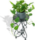 17" Black(1 Pack) NAKUPE Plant Stand Indoor & Outdoor Flower Pot Stand Tall Metal Plant Table,Single Planter Holder