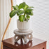 VZODESR Plant Stools Indoor Wooden Stool for Plants Flower Display with Stand Farmhouse Indoor Small Plant Stand Riser