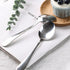 HANSGO 10PCS Stainless Steel Teaspoons, 6.7 Inch Dinner Spoons for Home, Kitchen, or Restaurant