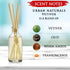 Urban Naturals Vetiver Home Fragrance Reed Diffuser Set - Masculine Fragrance for Man CAVE