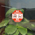 3 Set Warning Signs-No Smoking No vaping Sign Static Cling Decal Inside Outside Window 6 x 6 Inch Removable and Reusable by ICObuty
