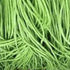 85+ Yard Long Bean Seeds Seeds, Asian Heirloom Yard Long Beans Seeds, Asparagus Beans Seeds, Phaseolus Vulgaris, Non