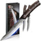 Steak Knives Set of 2, 4.8 Inch High-Carbon Japanese Stainless Steel Non-serrated Meat Knife with Wood Handle