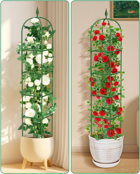2 Pack 6Ft MYMULIKE Garden Trellis for Climbing Plants Outdoor & Indoor - Tall Rustproof Plant Support Cage for Vines
