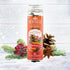 Scentsicles Scented Christmas Ornaments, 6 Ornaments & Hooks, All Natural Holiday Air Freshener (Spiced Pine Cones)