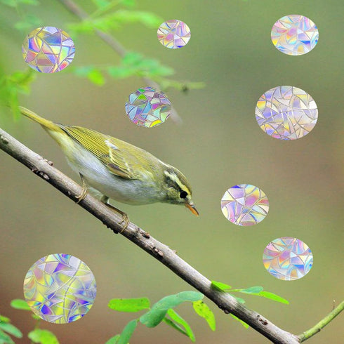 36 Pcs Anti-Collision Window Decals, Rainbow Stickers Circle Window Clings to Save Birds from Collisions