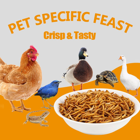 5LB Dried Mealworms, Non-GMO Meal Worms for Chickens & Birds, High Protein Chicken Feed, Natural Chicken Worms Ideal