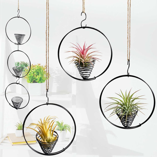 Casktcom 5.5" Air Plant Hangers for Ceiling & Windows, Airflow Hanging Air Plant