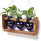 Plant Terrarium Propagation Stations Faith Hope Love Hydroponics Home Garden Decoration Gift