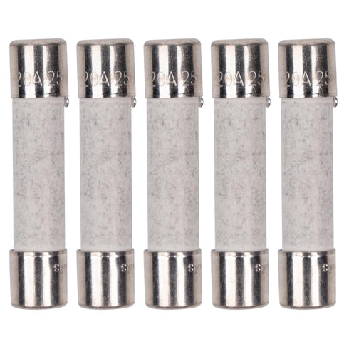 Pack of 5 BlueStars 20 Amp 250V Slow-Blow Microwave Fuse, Ceramic Replacement for GE & Whirlpool