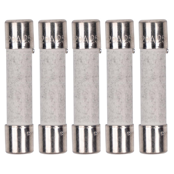 Pack of 5 BlueStars 20 Amp 250V Slow-Blow Microwave Fuse, Ceramic Replacement for GE & Whirlpool