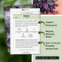 Packet (1) Sow Right Seeds - Opal Basil Seeds for Planting - Non-GMO Heirloom with Instructions to Plant Indoors