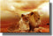 African Lion and Lioness Picture on Stretched Canvas Wall Art Décor, Ready to Hang