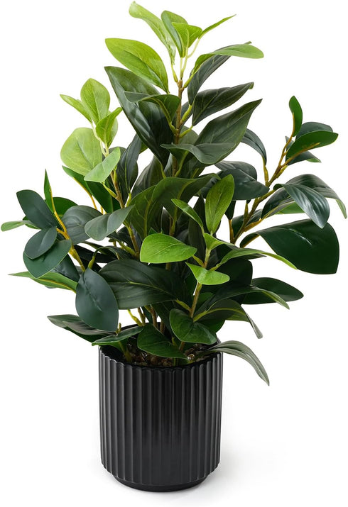 EZBOHO 16 inch Artificial Plants Indoor Realistic Touching Evergreen Leaf Fake Plant with