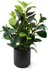 EZBOHO 16 inch Artificial Plants Indoor Realistic Touching Evergreen Leaf Fake Plant with