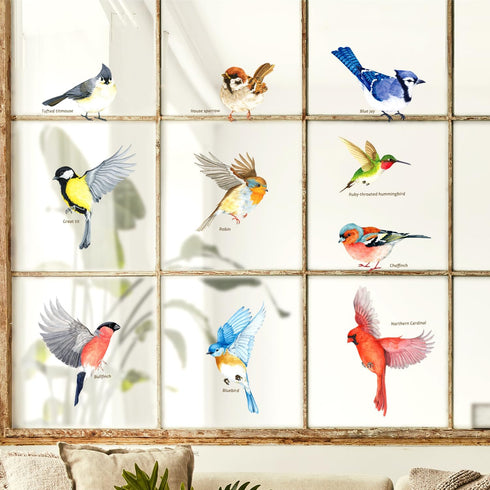 DECOWALL CDS2-9001 Anti-Collision Window Clings Bird Alert Collision Decals to Prevent Bird Strikes on Window Glass - Set of 10 Garden birds