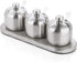 TENTA KITCHEN TENT 18/8 Stainless Steel Seasoning Containers Set, Spice Rack with 3 Serving Spoons