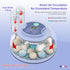 Cliseve 18 18 360 Egg Incubator for Hatching Chicks, Automatic Egg Turner Holds Eggs, Smart Incubator Clear Window