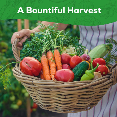 10 Pack Vegetable Seeds - Non GMO, Heirloom - Basil, Snap Pea, Broccoli, Bean, Jalapeo Pepper, Tomato, Lettuce