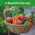 10 Pack Vegetable Seeds - Non GMO, Heirloom - Basil, Snap Pea, Broccoli, Bean, Jalapeo Pepper, Tomato, Lettuce