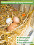14 Oz 6 Chicken Nesting Herbs - Natural Nesting Box Feed Herbs in Dried Flower & Herbs for Freshening Bedding Chicken