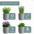 Set Set/3 Barnyard Designs Indoor Herb Garden Planter with Tray, Metal Windowsill Plant Pots with Drainage for Outdoor