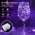 pozzolanas 24 Pack 3 7FT 20 (24, Purple Fairy Lights Battery Operated Modes LED Waterproof String Lights Twinkle Silver